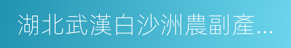 湖北武漢白沙洲農副產品大市場的同義詞