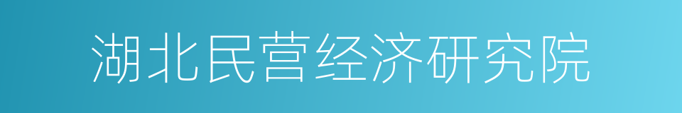 湖北民营经济研究院的同义词