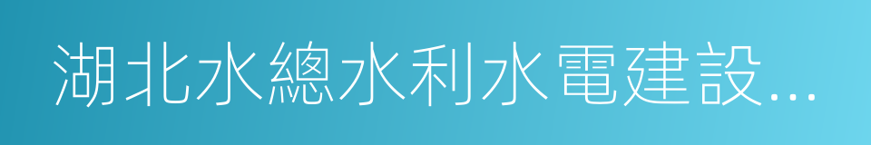 湖北水總水利水電建設股份有限公司的同義詞