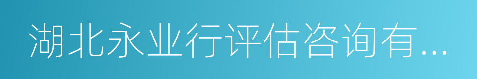 湖北永业行评估咨询有限公司的同义词
