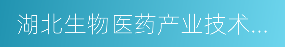 湖北生物医药产业技术研究院有限公司的同义词