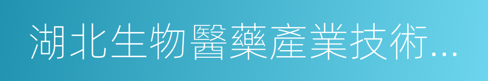 湖北生物醫藥產業技術研究院有限公司的同義詞