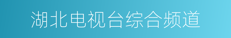 湖北电视台综合频道的同义词