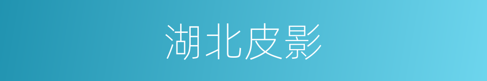 湖北皮影的同义词