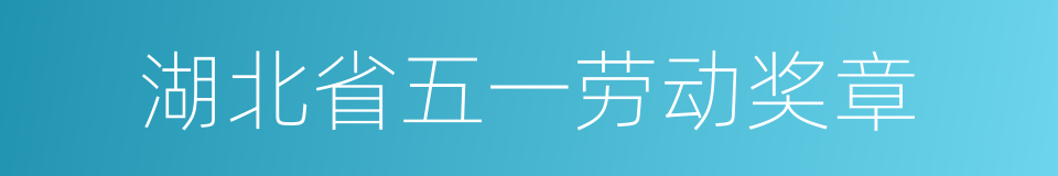 湖北省五一劳动奖章的同义词