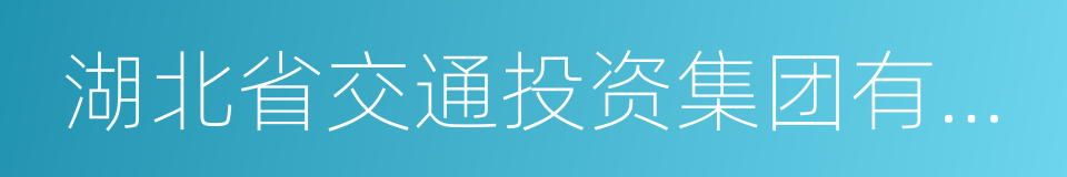 湖北省交通投资集团有限公司的同义词