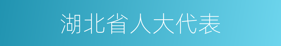 湖北省人大代表的同义词