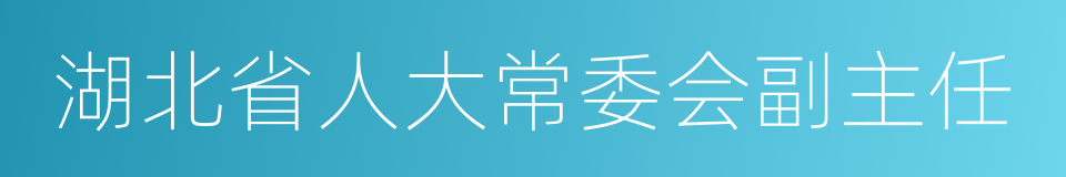 湖北省人大常委会副主任的同义词