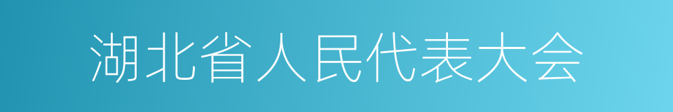 湖北省人民代表大会的同义词