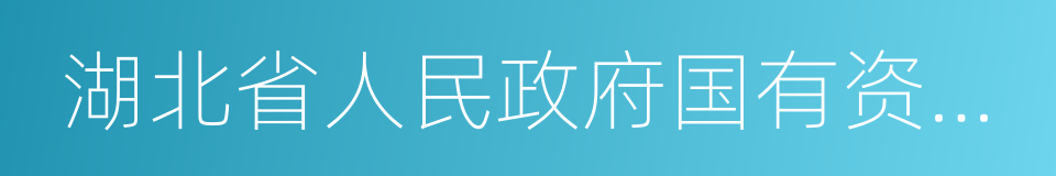 湖北省人民政府国有资产监督管理委员会的同义词