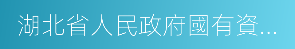 湖北省人民政府國有資產監督管理委員會的同義詞