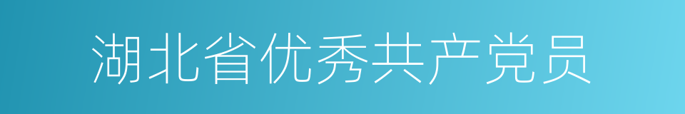 湖北省优秀共产党员的同义词