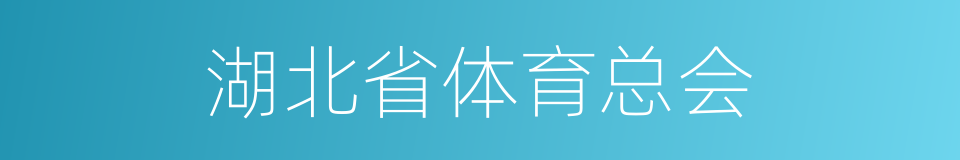 湖北省体育总会的同义词