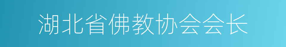 湖北省佛教协会会长的同义词