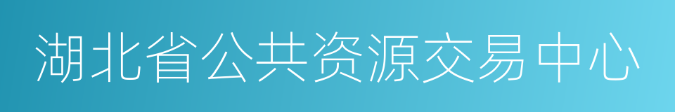 湖北省公共资源交易中心的同义词