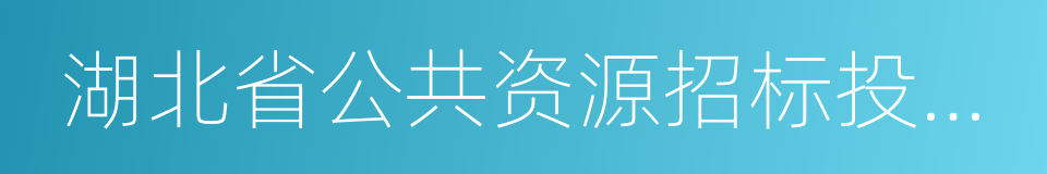 湖北省公共资源招标投标监督管理条例的同义词