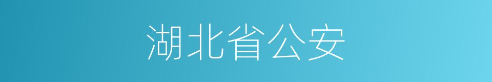 湖北省公安的同义词