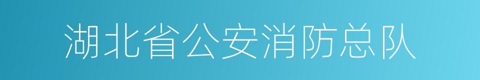 湖北省公安消防总队的同义词