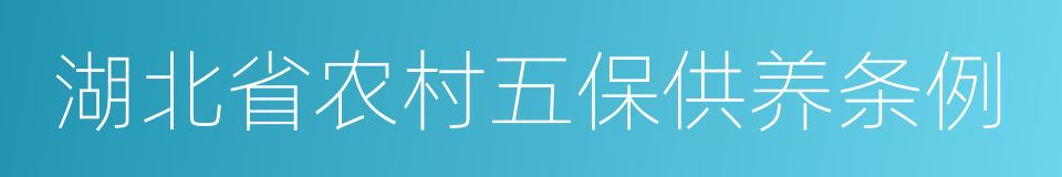 湖北省农村五保供养条例的同义词