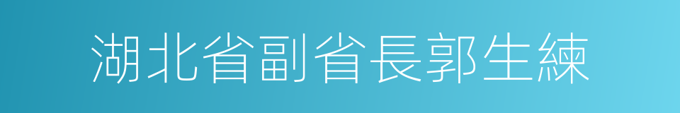 湖北省副省長郭生練的同義詞