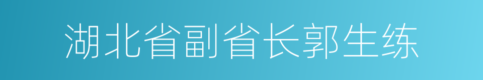 湖北省副省长郭生练的同义词