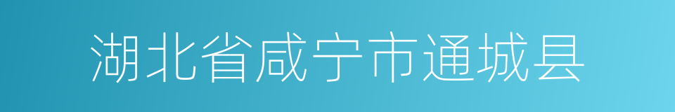 湖北省咸宁市通城县的同义词