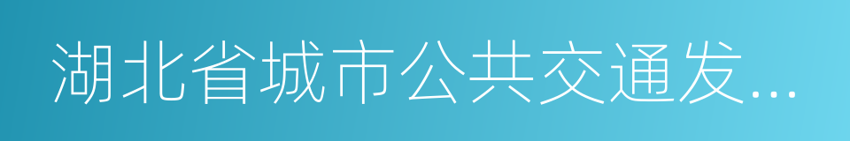 湖北省城市公共交通发展与管理办法的同义词