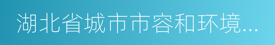 湖北省城市市容和环境卫生管理条例的同义词