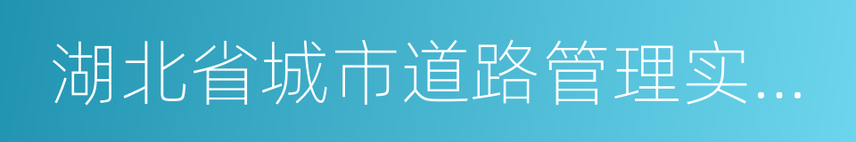 湖北省城市道路管理实施办法的同义词