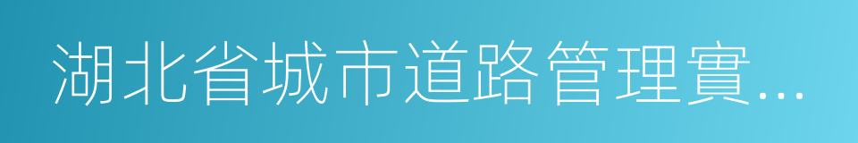 湖北省城市道路管理實施辦法的同義詞