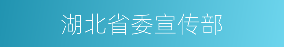 湖北省委宣传部的同义词