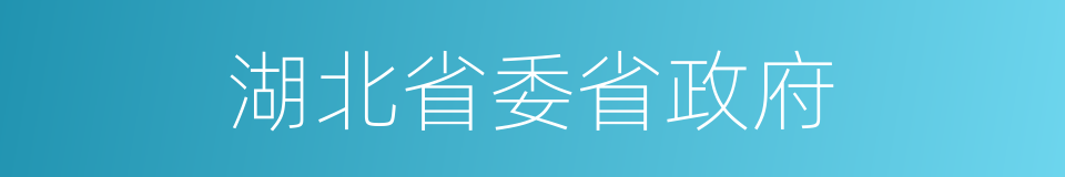 湖北省委省政府的同义词