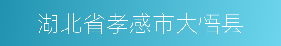 湖北省孝感市大悟县的同义词