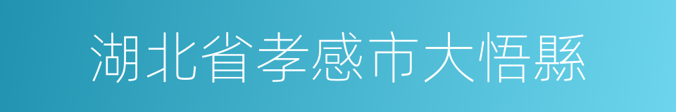 湖北省孝感市大悟縣的同義詞