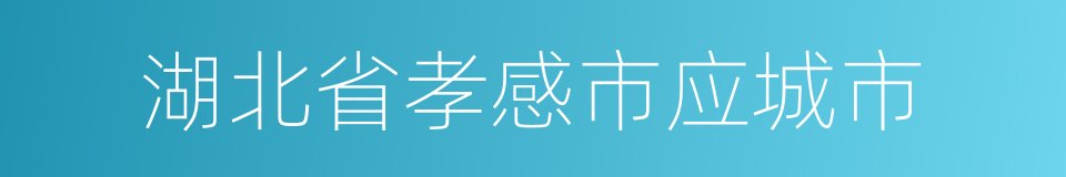 湖北省孝感市应城市的同义词