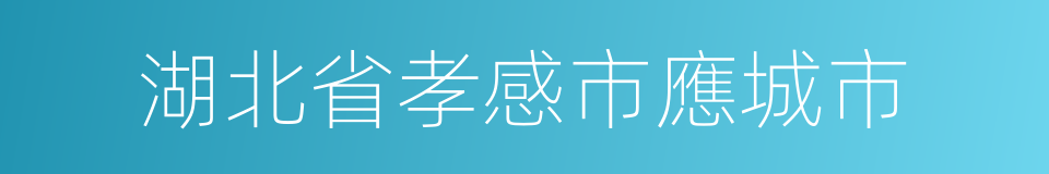 湖北省孝感市應城市的同義詞