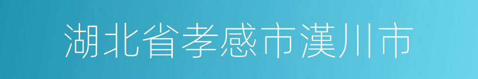 湖北省孝感市漢川市的同義詞