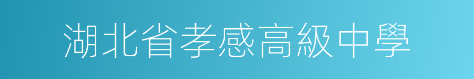 湖北省孝感高級中學的同義詞