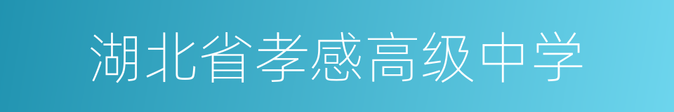 湖北省孝感高级中学的同义词