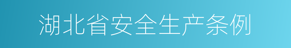 湖北省安全生产条例的同义词