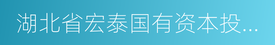 湖北省宏泰国有资本投资运营集团有限公司的同义词