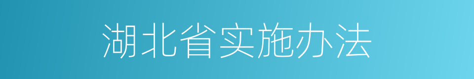 湖北省实施办法的同义词