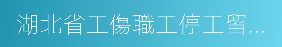 湖北省工傷職工停工留薪期管理辦法的同義詞