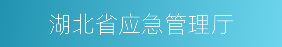 湖北省应急管理厅的同义词