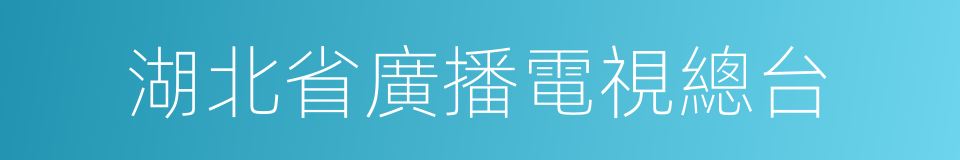 湖北省廣播電視總台的同義詞