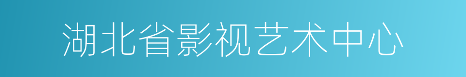 湖北省影视艺术中心的同义词