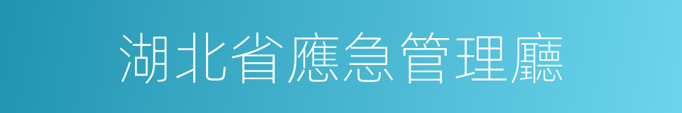 湖北省應急管理廳的同義詞