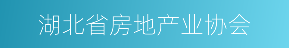 湖北省房地产业协会的同义词