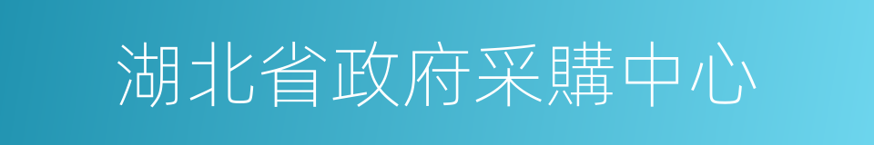 湖北省政府采購中心的同義詞