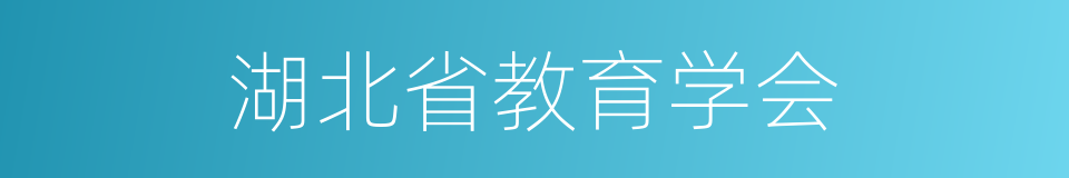 湖北省教育学会的同义词